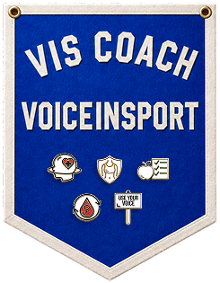 VIS Coach pennant